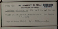 Image Associated With the Occurence